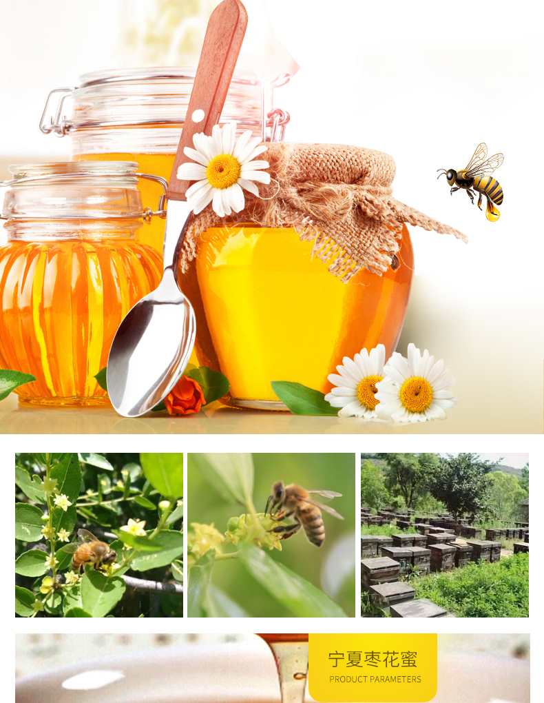 枣花蜜_06.jpg